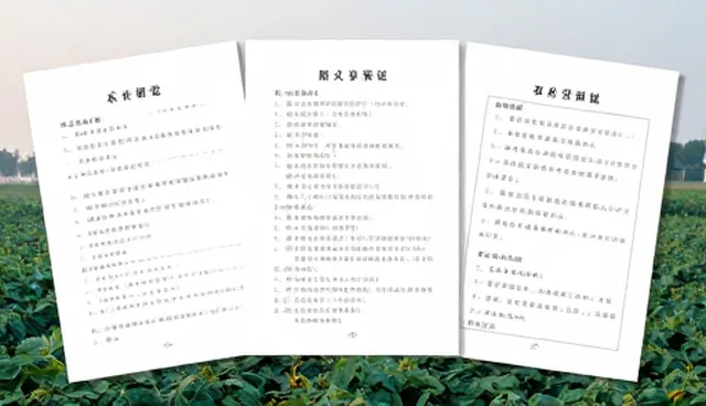 性能分析：理解偏差对师资培训的影响